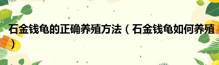 石金钱龟的正确养殖方法（石金钱龟如何养殖）