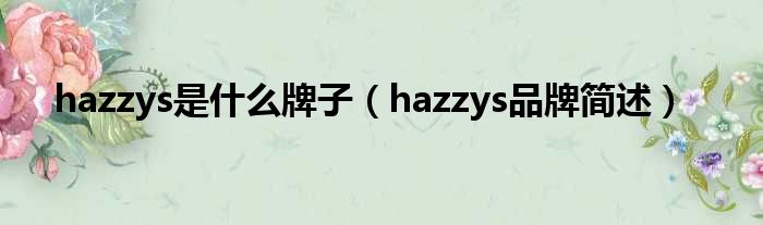 hazzys是什么牌子（hazzys品牌简述）