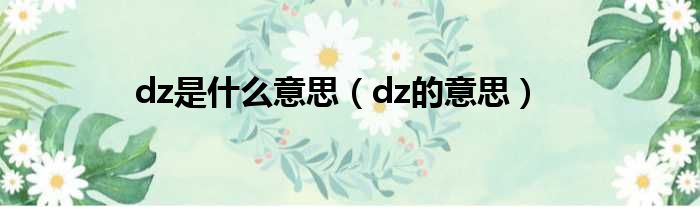 dz是什么意思（dz的意思）