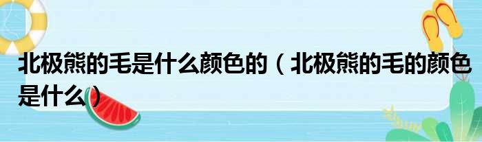 北极熊的毛是什么颜色的（北极熊的毛的颜色是什么）