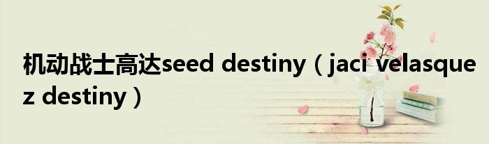  机动战士高达seed destiny（jaci velasquez destiny）