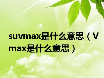 suvmax是什么意思（Vmax是什么意思）