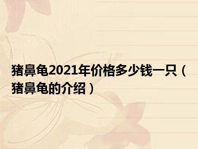 猪鼻龟2021年价格多少钱一只（猪鼻龟的介绍）