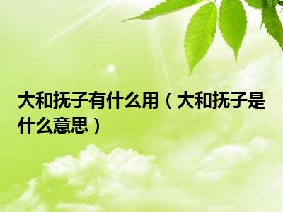 大和抚子有什么用（大和抚子是什么意思）