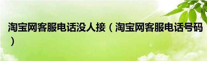  淘宝网客服电话没人接（淘宝网客服电话号码）