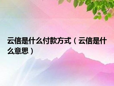 云信是什么付款方式（云信是什么意思）