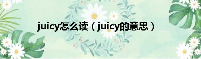 juicy怎么读（juicy的意思）