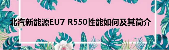 北汽新能源EU7 R550性能如何及其简介