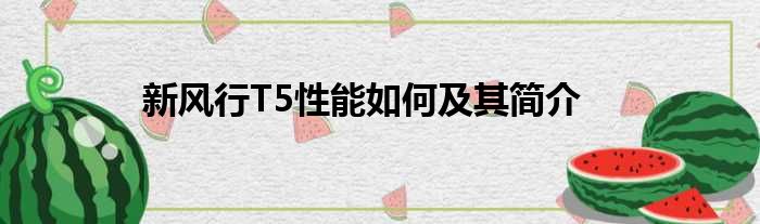 新风行T5性能如何及其简介