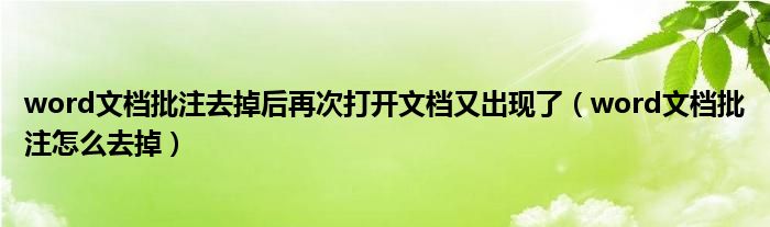  word文档批注去掉后再次打开文档又出现了（word文档批注怎么去掉）