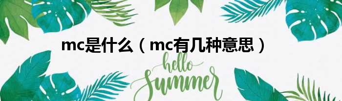 mc是什么（mc有几种意思）