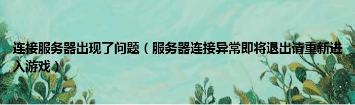 连接服务器出现了问题（服务器连接异常即将退出请重新进入游戏）