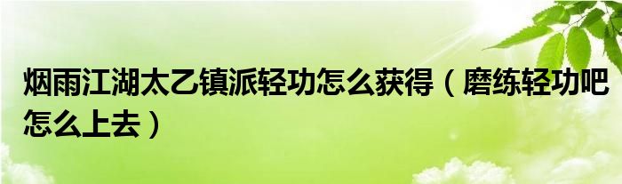  烟雨江湖太乙镇派轻功怎么获得（磨练轻功吧怎么上去）