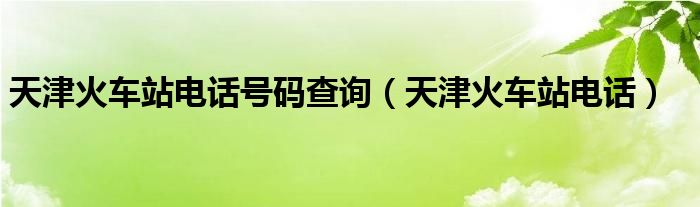  天津火车站电话号码查询（天津火车站电话）