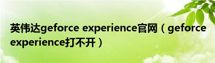  英伟达geforce experience官网（geforce experience打不开）