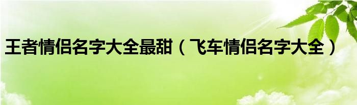  王者情侣名字大全最甜（飞车情侣名字大全）