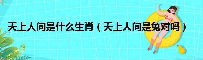 天上人间是什么生肖（天上人间是兔对吗）