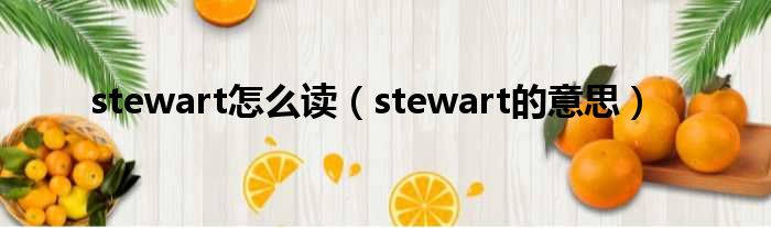 stewart怎么读（stewart的意思）