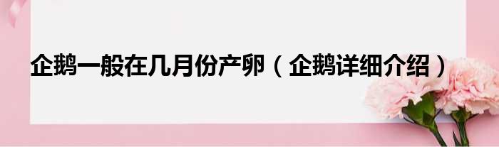 企鹅一般在几月份产卵（企鹅详细介绍）