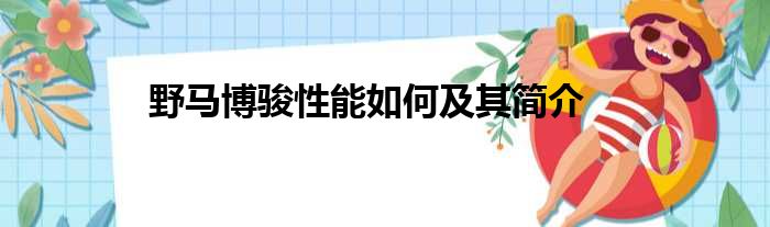 野马博骏性能如何及其简介