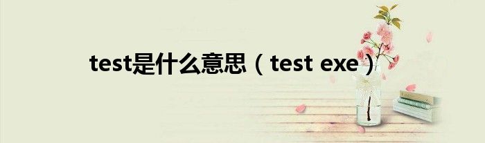  test是什么意思（test exe）