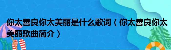 你太善良你太美丽是什么歌词（你太善良你太美丽歌曲简介）