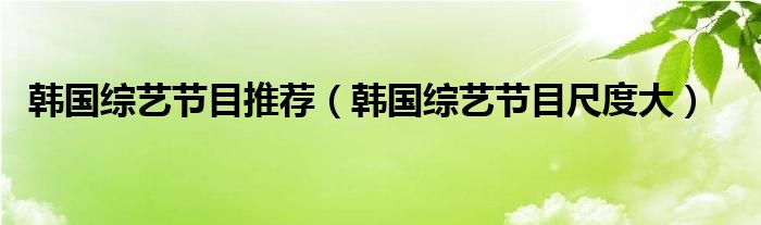  韩国综艺节目推荐（韩国综艺节目尺度大）