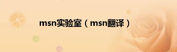  msn实验室（msn翻译）