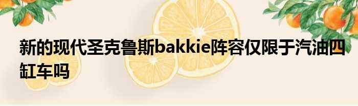 新的现代圣克鲁斯bakkie阵容仅限于汽油四缸车吗