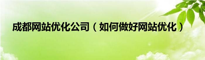  成都网站优化公司（如何做好网站优化）