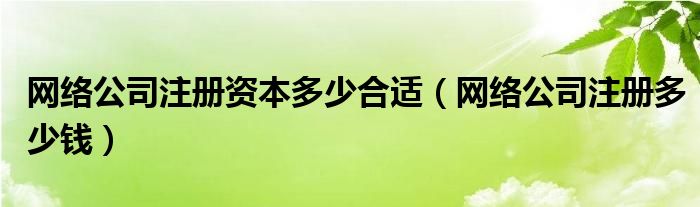  网络公司注册资本多少合适（网络公司注册多少钱）