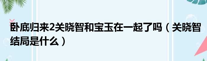 卧底归来2关晓智和宝玉在一起了吗（关晓智结局是什么）