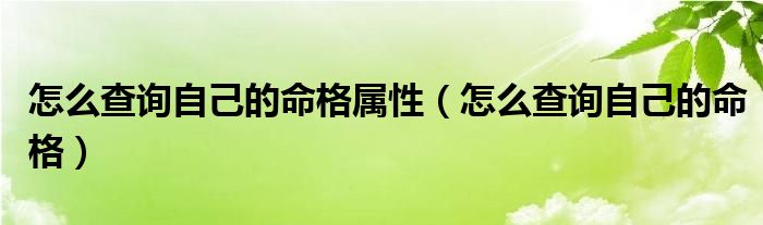  怎么查询自己的命格属性（怎么查询自己的命格）