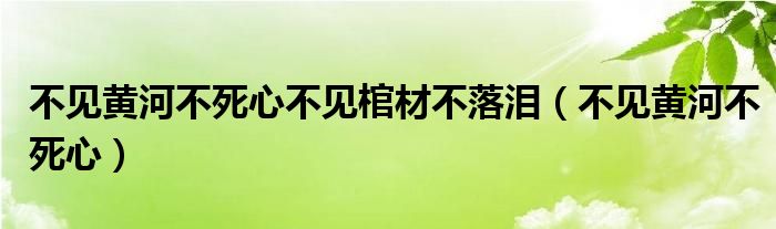  不见黄河不死心不见棺材不落泪（不见黄河不死心）