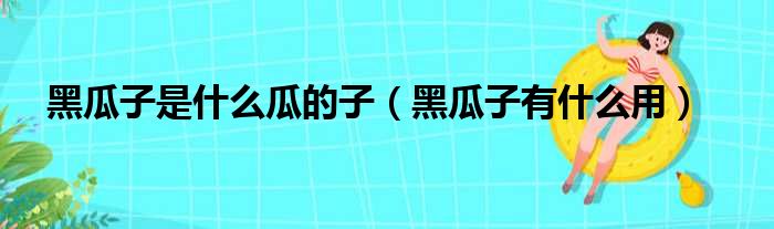 黑瓜子是什么瓜的子（黑瓜子有什么用）