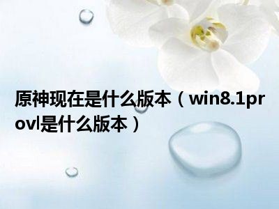 原神现在是什么版本（win8.1provl是什么版本）