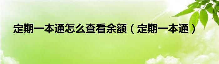  定期一本通怎么查看余额（定期一本通）