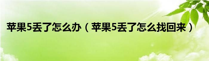  苹果5丢了怎么办（苹果5丢了怎么找回来）