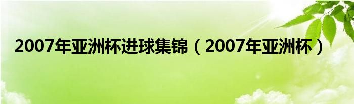  2007年亚洲杯进球集锦（2007年亚洲杯）