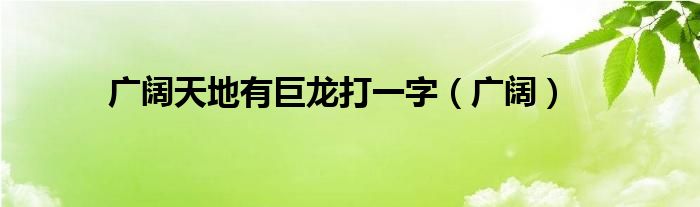  广阔天地有巨龙打一字（广阔）