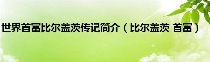  世界首富比尔盖茨传记简介（比尔盖茨 首富）