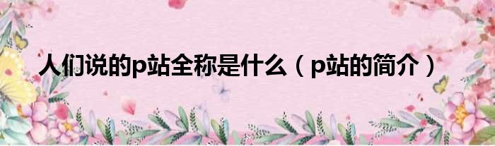 人们说的p站全称是什么（p站的简介）