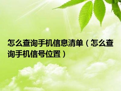 怎么查询手机信息清单（怎么查询手机信号位置）