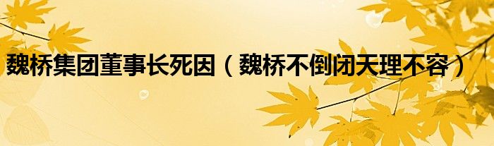  魏桥集团董事长死因（魏桥不倒闭天理不容）