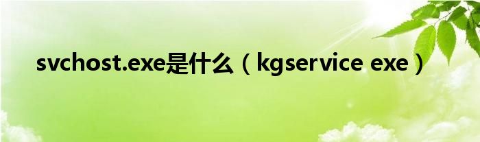  svchost.exe是什么（kgservice exe）