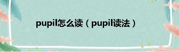 pupil怎么读（pupil读法）