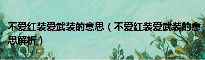 不爱红装爱武装的意思（不爱红装爱武装的意思解析）