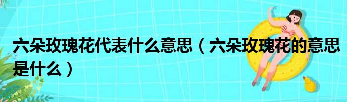 六朵玫瑰花代表什么意思（六朵玫瑰花的意思是什么）