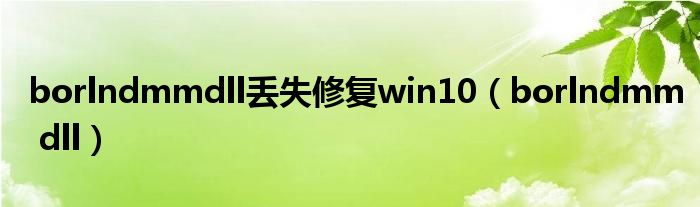  borlndmmdll丢失修复win10（borlndmm dll）