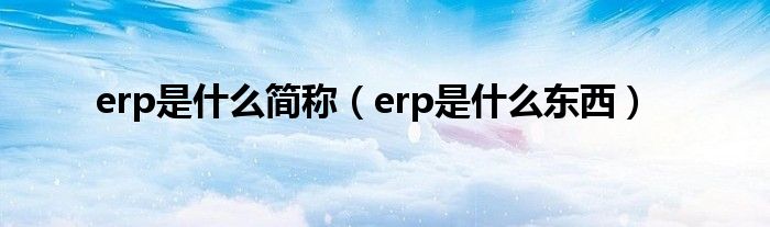  erp是什么简称（erp是什么东西）